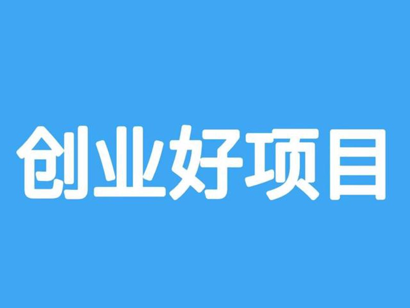 图示：2026年最具潜力的加盟项目概览