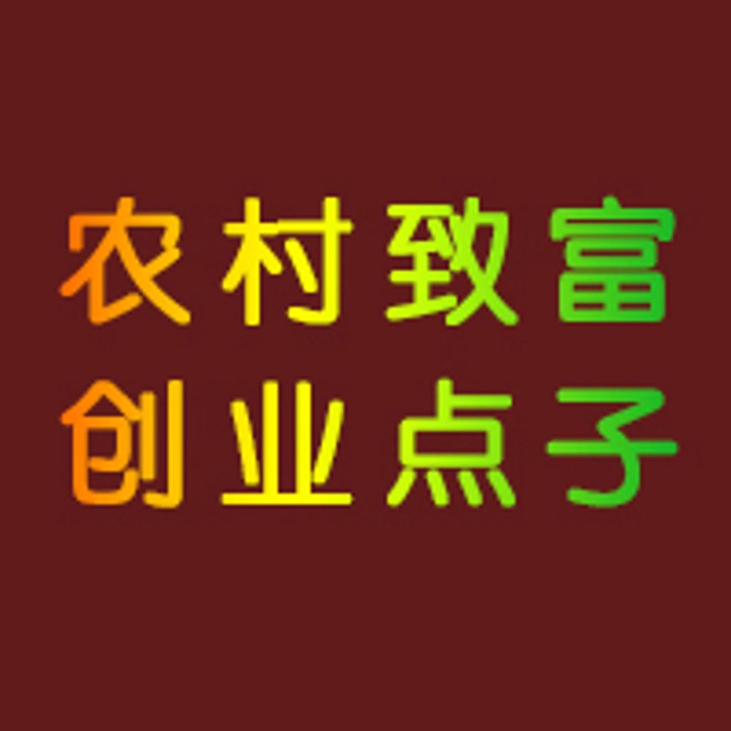 2026年，哪些加盟项目有望成为最热门的创业选择？让我们一起看看它们各自的优势与劣势。